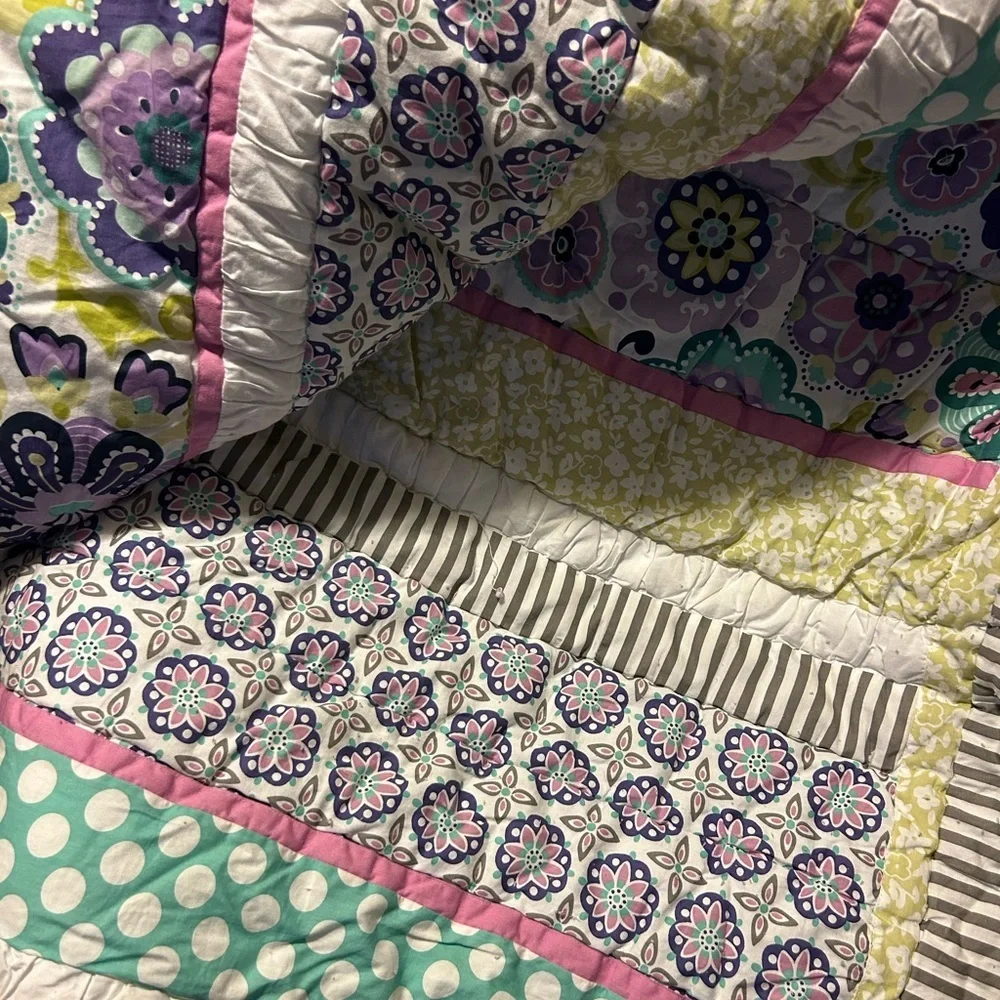 Pottery Barn Teen Girl Floral Twin Comforter W/ Pillow Sham